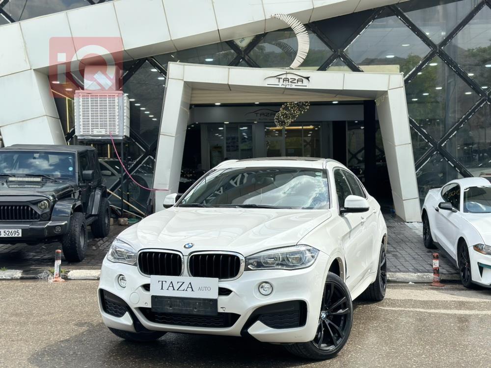 BMW X6